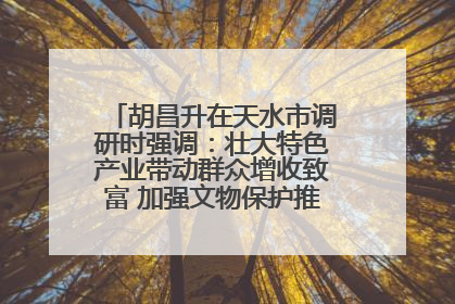 胡昌升在天水市调研时强调：壮大特色产业带动群众增收致富 加强文物保护推动文化创新发展