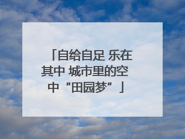 自给自足 乐在其中 城市里的空中“田园梦”