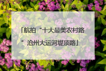 航拍“十大最美农村路”沧州大运河堤顶路