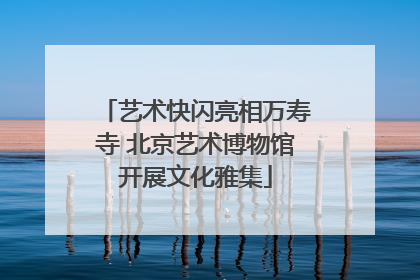 艺术快闪亮相万寿寺 北京艺术博物馆开展文化雅集