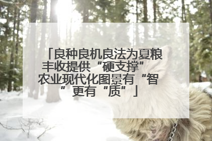 良种良机良法为夏粮丰收提供“硬支撑” 农业现代化图景有“智”更有“质”