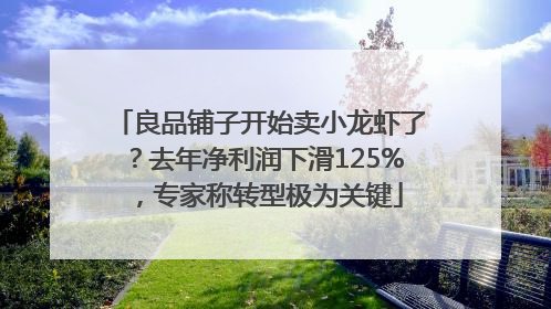 良品铺子开始卖小龙虾了？去年净利润下滑125%，专家称转型极为关键