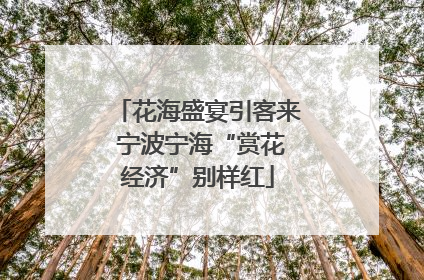 花海盛宴引客来 宁波宁海“赏花经济”别样红