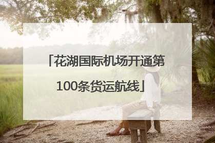花湖国际机场开通第100条货运航线