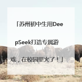 苏州初中生用DeepSeek打造专属游戏，在校园里火了！