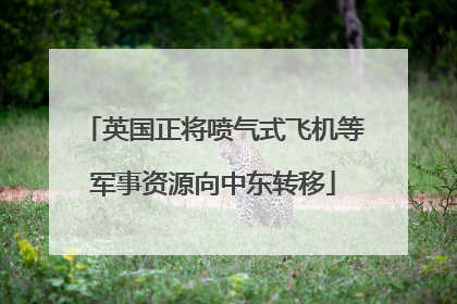 英国正将喷气式飞机等军事资源向中东转移