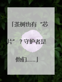 茶树也有“芯片”？守护者是他们……