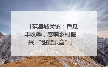 范县城关镇：香瓜丰收季，奏响乡村振兴 “甜蜜乐章”