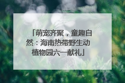 萌宠齐聚，童趣自然：海南热带野生动植物园六一献礼