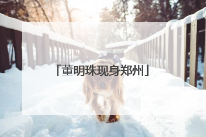 董明珠现身郑州