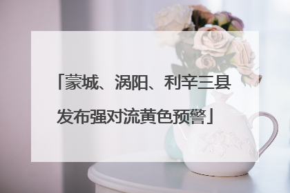 蒙城、涡阳、利辛三县发布强对流黄色预警