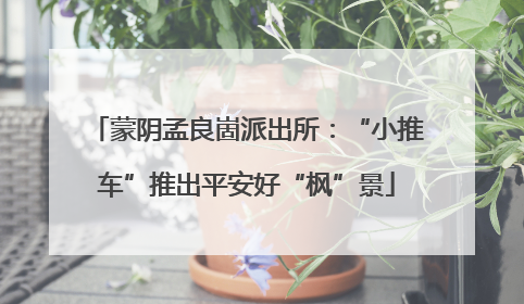 蒙阴孟良崮派出所：“小推车”推出平安好“枫”景