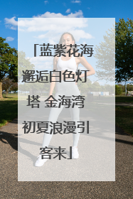 蓝紫花海邂逅白色灯塔 金海湾初夏浪漫引客来