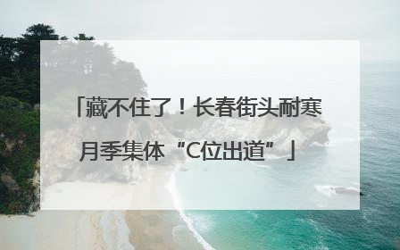 藏不住了！长春街头耐寒月季集体“C位出道”