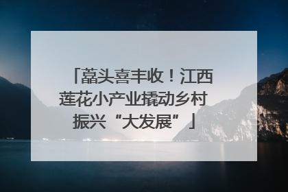 藠头喜丰收！江西莲花小产业撬动乡村振兴“大发展”