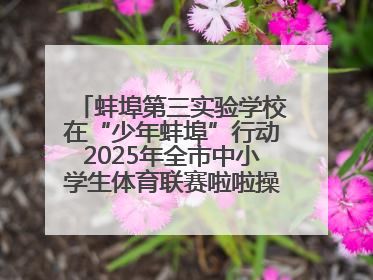 蚌埠第三实验学校在“少年蚌埠”行动2025年全市中小学生体育联赛啦啦操比赛中获佳绩