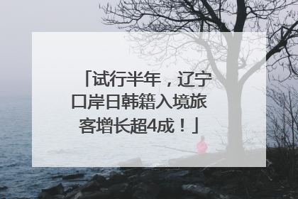 试行半年，辽宁口岸日韩籍入境旅客增长超4成！