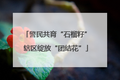 警民共育“石榴籽” 辖区绽放“团结花”