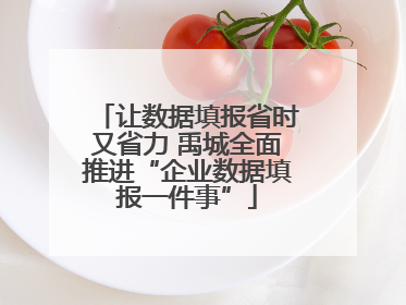 让数据填报省时又省力 禹城全面推进“企业数据填报一件事”