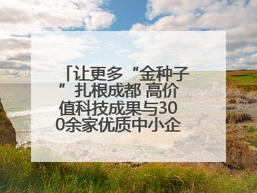 让更多“金种子”扎根成都 高价值科技成果与300余家优质中小企业精准对接