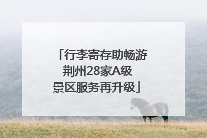 行李寄存助畅游 荆州28家A级景区服务再升级