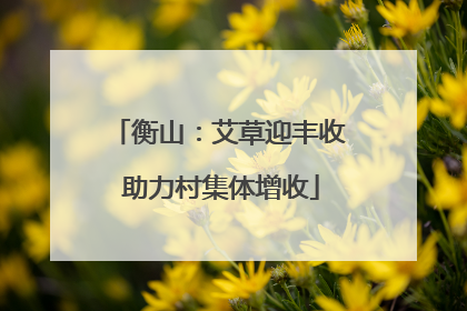 衡山：艾草迎丰收 助力村集体增收