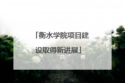 衡水学院项目建设取得新进展