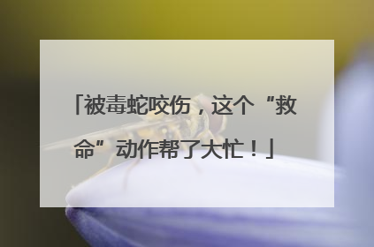 被毒蛇咬伤，这个“救命”动作帮了大忙！