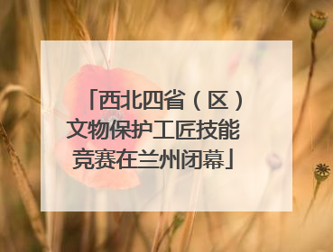 西北四省（区）文物保护工匠技能竞赛在兰州闭幕
