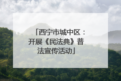 西宁市城中区：开展《民法典》普法宣传活动