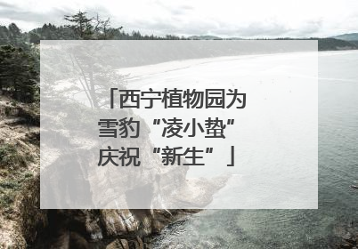 西宁植物园为雪豹“凌小蛰”庆祝“新生”