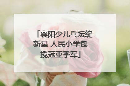 襄阳少儿乓坛绽新星 人民小学包揽冠亚季军