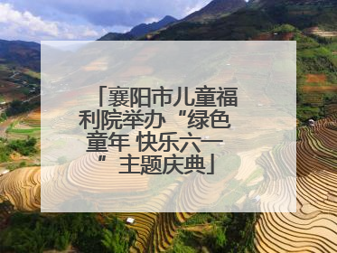 襄阳市儿童福利院举办“绿色童年 快乐六一”主题庆典