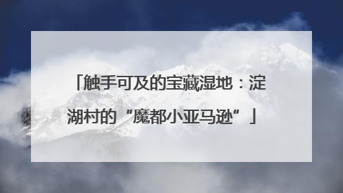 触手可及的宝藏湿地：淀湖村的“魔都小亚马逊”