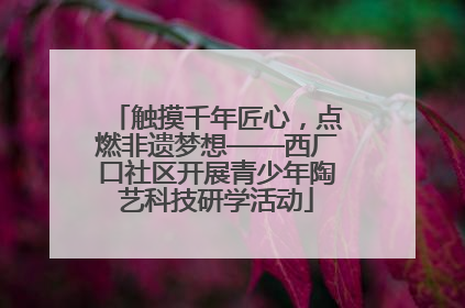 触摸千年匠心，点燃非遗梦想——西厂口社区开展青少年陶艺科技研学活动