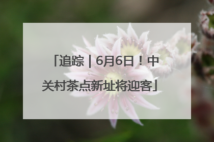 追踪｜6月6日！中关村茶点新址将迎客