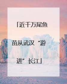 近千万尾鱼苗从武汉“游进”长江