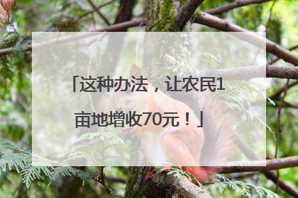 这种办法，让农民1亩地增收70元！