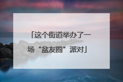 这个街道举办了一场“盆友圈”派对