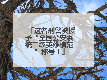 这名刑警被授予“全国公安系统二级英雄模范”称号！