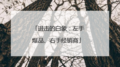 进击的白象：左手爆品、右手经销商