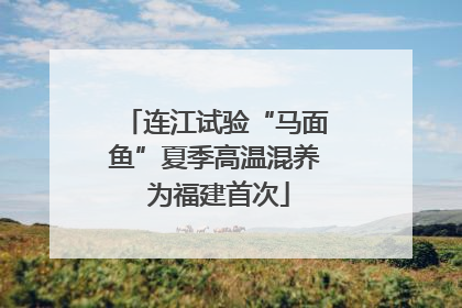 连江试验“马面鱼”夏季高温混养 为福建首次