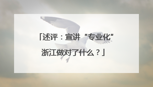述评：宣讲“专业化” 浙江做对了什么？