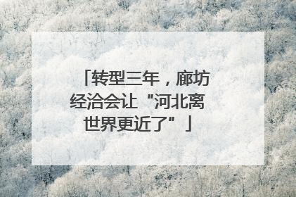 转型三年，廊坊经洽会让“河北离世界更近了”