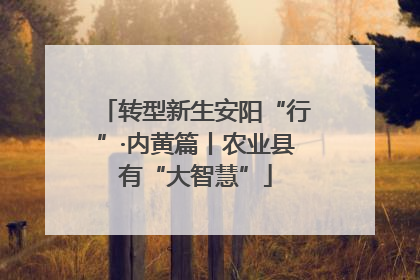 转型新生安阳“行”·内黄篇丨农业县有“大智慧”