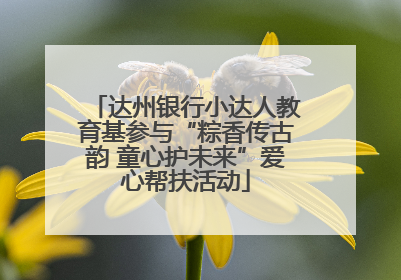 达州银行小达人教育基参与“粽香传古韵 童心护未来”爱心帮扶活动