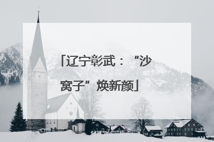 辽宁彰武：“沙窝子”焕新颜