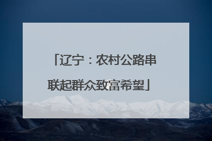 辽宁：农村公路串联起群众致富希望