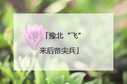 豫北“飞”来后备尖兵