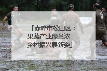 赤峰市松山区：果蔬产业绿意浓 乡村振兴展新姿